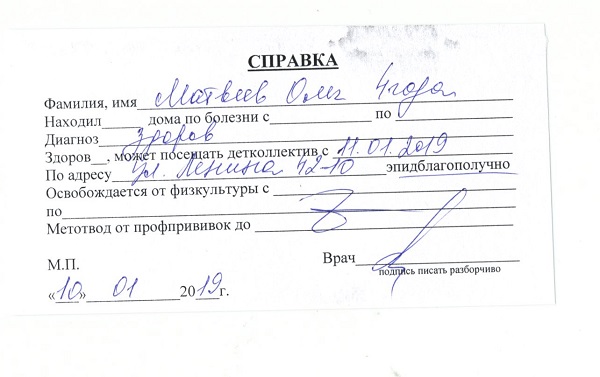 Справка об эпидокружении